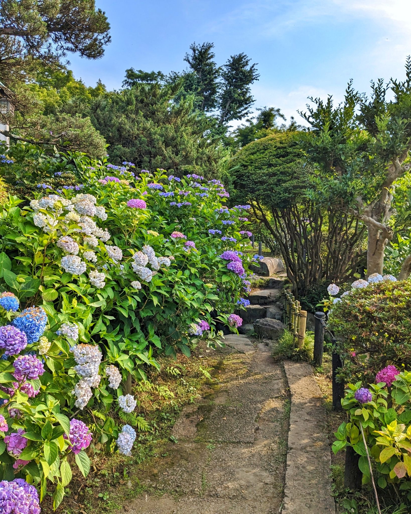 🌳 호와엔 정원(호와엔) 이미지 14